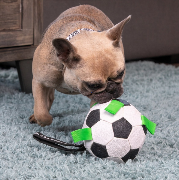 Hyper Pet Grab Tabs Soccer Ball Dog Toy