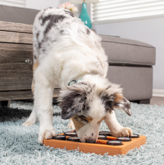 OurPets Sushi Treat Dispensing Puzzle Dog & Cat Toy