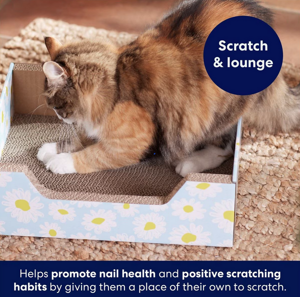 Frisco Step-In Cat Scratcher Toy with Catnip