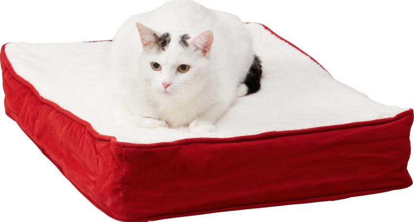 Happy Hounds Bella Orthopedic Cat Bed
