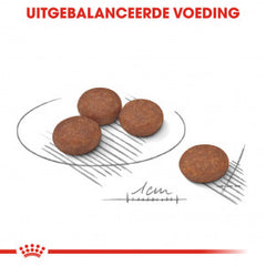 Royal Canin Mini Digestive Care Dog Food