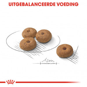 Royal Canin Mini Sterilised dog food