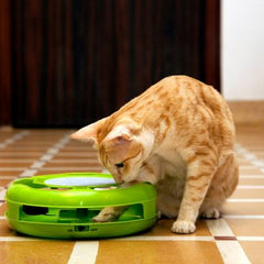 Iconic Pet Mouse Rush Interactive Cat Toy in Green - Royalitypets.com