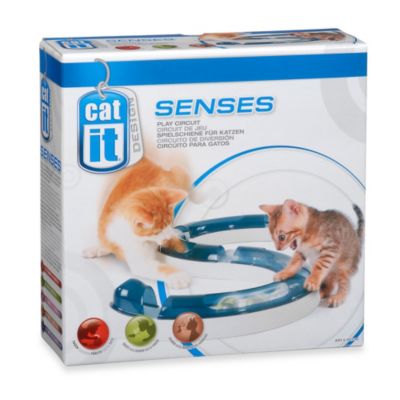 Catit Design Senses Play Circuit - Royalitypets.com