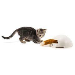 Premier Pet Fox Den Automatic Cat Toy - Royalitypets.com