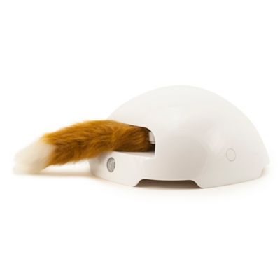 Premier Pet Fox Den Automatic Cat Toy - Royalitypets.com