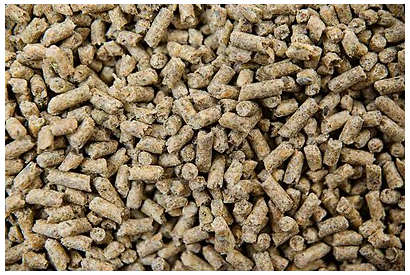 Buckeye Nutrition Gro 'N Win Pelleted Horse Feed, 30-lb bag