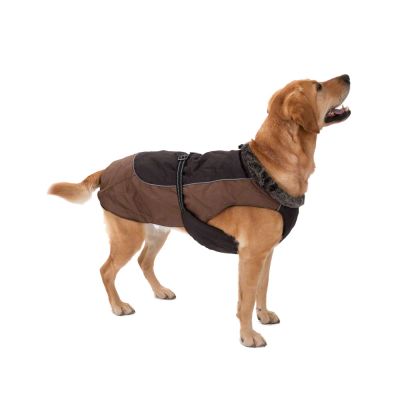 Grizzly II dog coat