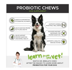 PetHonesty Digestive Probiotic Snacks Health Soft Chews Dog Supplement, 90 count