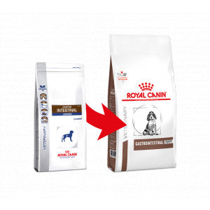 Royal shops canin intestinal puppy