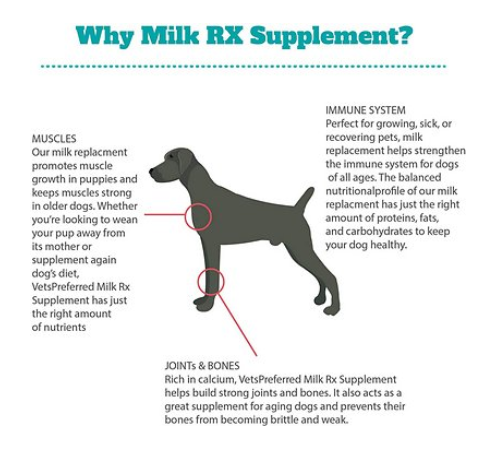 Vets Preferred Advanced Milk Rx Dog Supplement, 12-oz jar