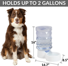 PetFusion H2O Gravity Dog & Cat Waterer, 2-gal
