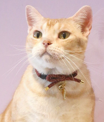 Necoichi Zen Gold Fish Charm Cotton Breakaway Cat Collar with Bell