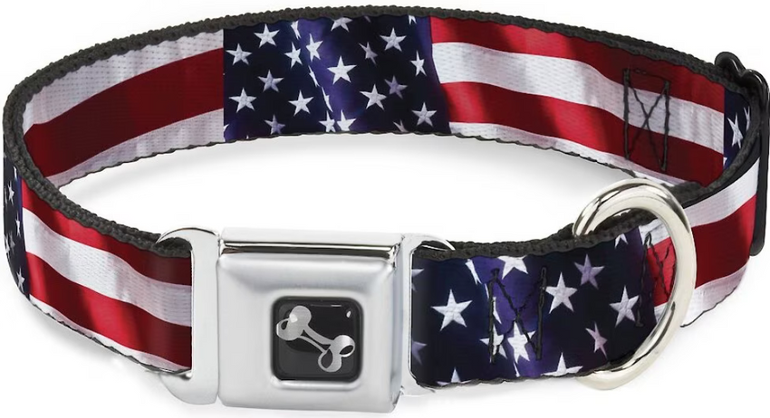 Buckle-Down American Flag Dog Collar