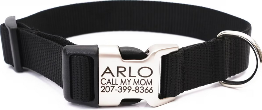 Mimi Green Personalized Nylon with Metal Hybrid Buckle Dog Collar