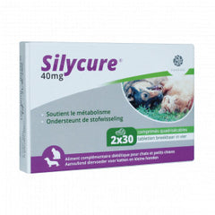 Silycure 40 mg tablets for cats and small dogs