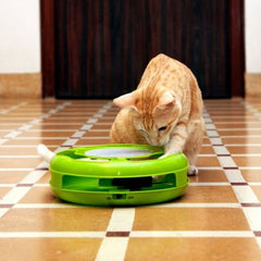 Iconic Pet Mouse Rush Interactive Cat Toy in Green - Royalitypets.com
