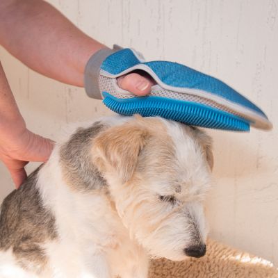 Double-sided glove for cats and dogs