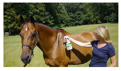 Absorbine FLYS-X Natural Fly Repellent Dog & Livestock Spray, 32-oz bottle
